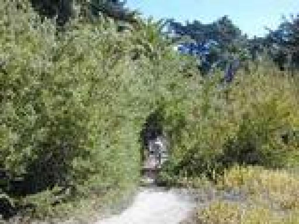 Path