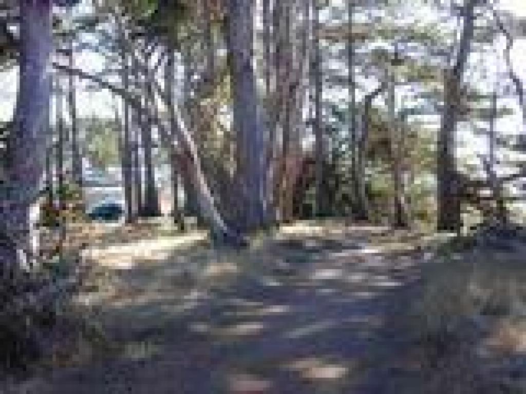 The edge of the reserve