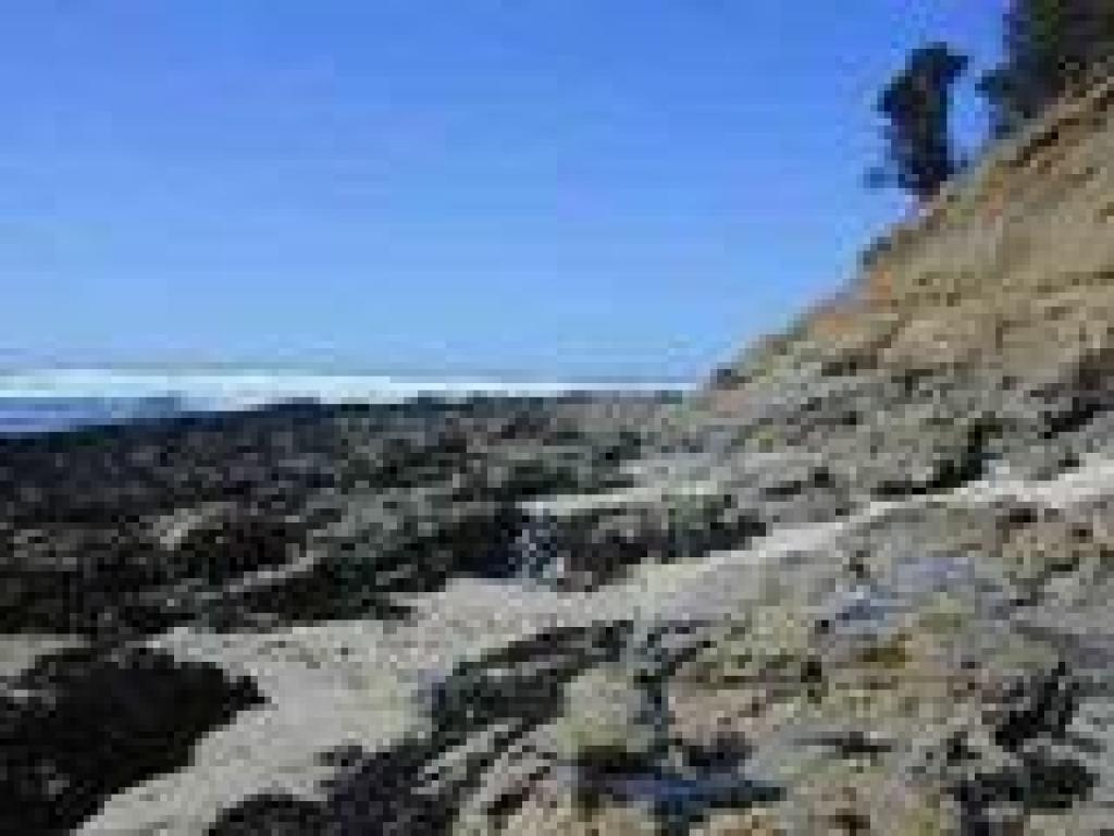 Fitzgerald Marine Reserve