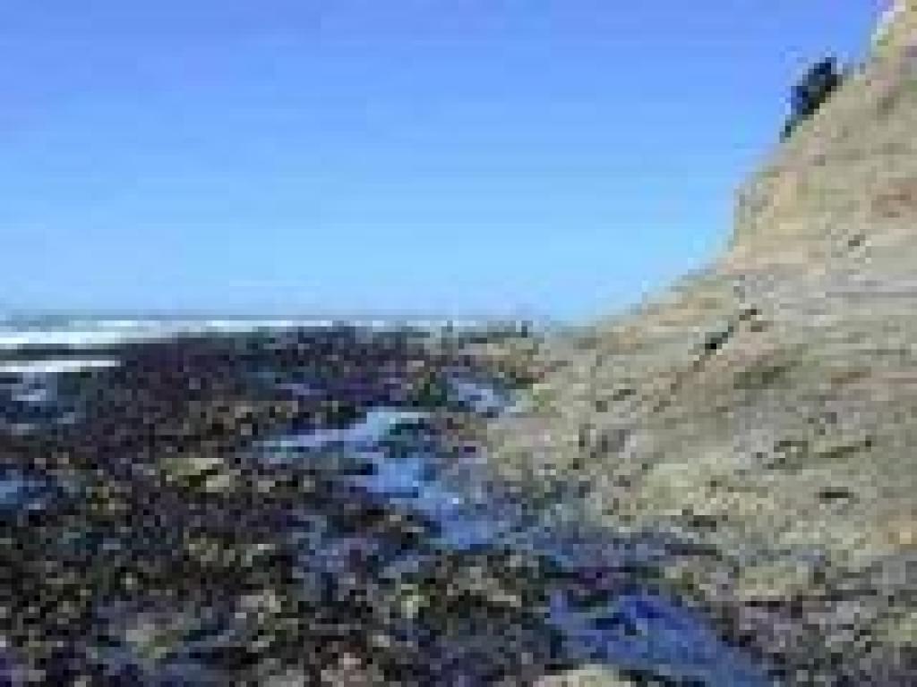 Shoreline as the tide receeds