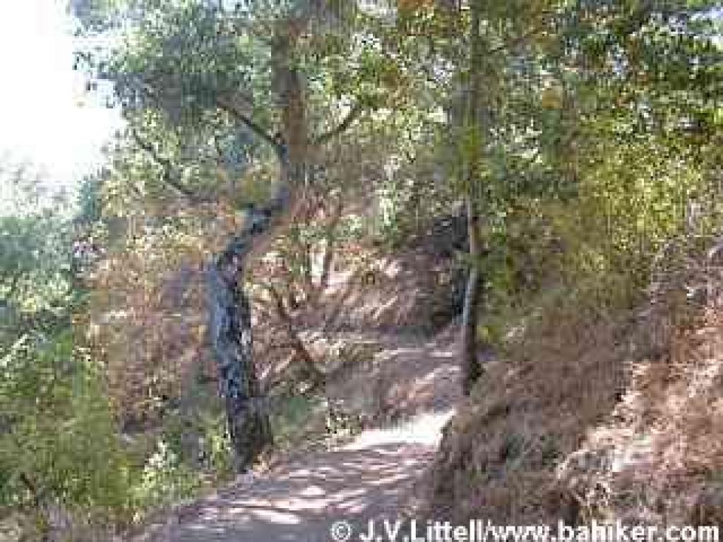 Seven Springs Trail