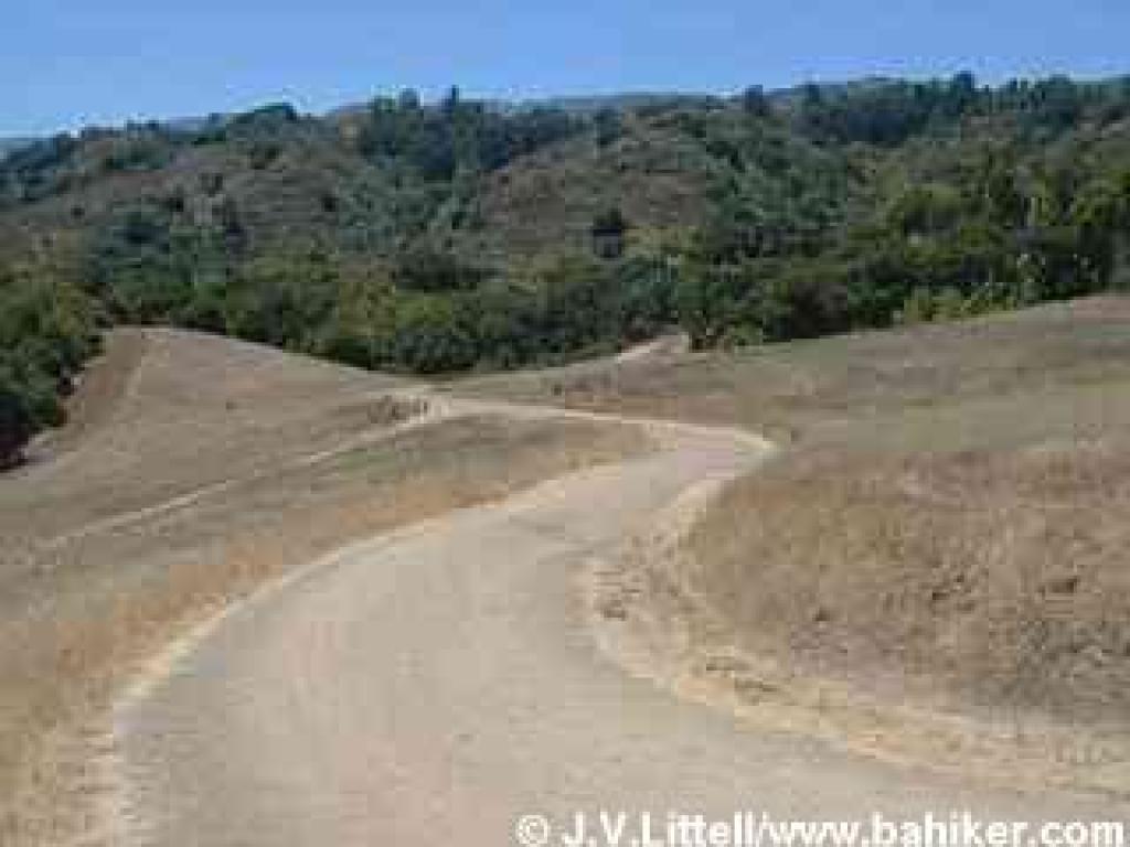Returning downhill toward the trailhead