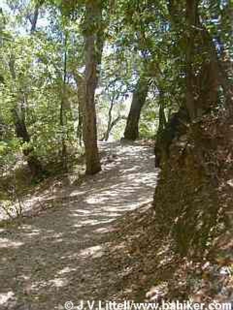 Creekside Trail