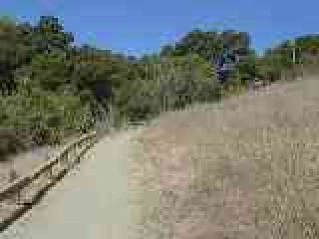 Cora Older Trail