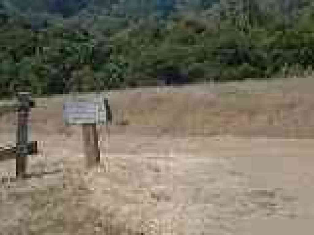 Junction