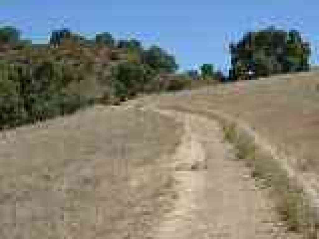 After a few steps, the trail enters shade