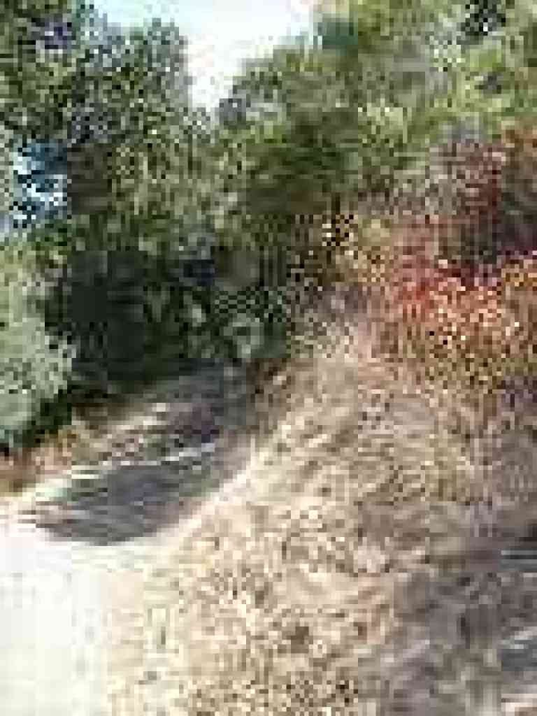 Seven Springs Trail