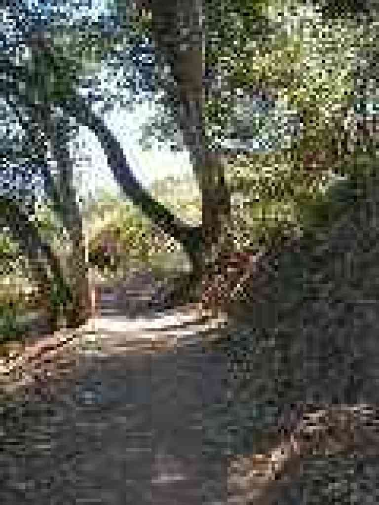 Seven Springs Trail