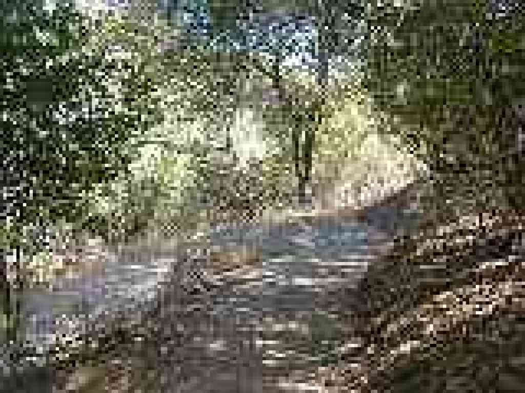 Switchback