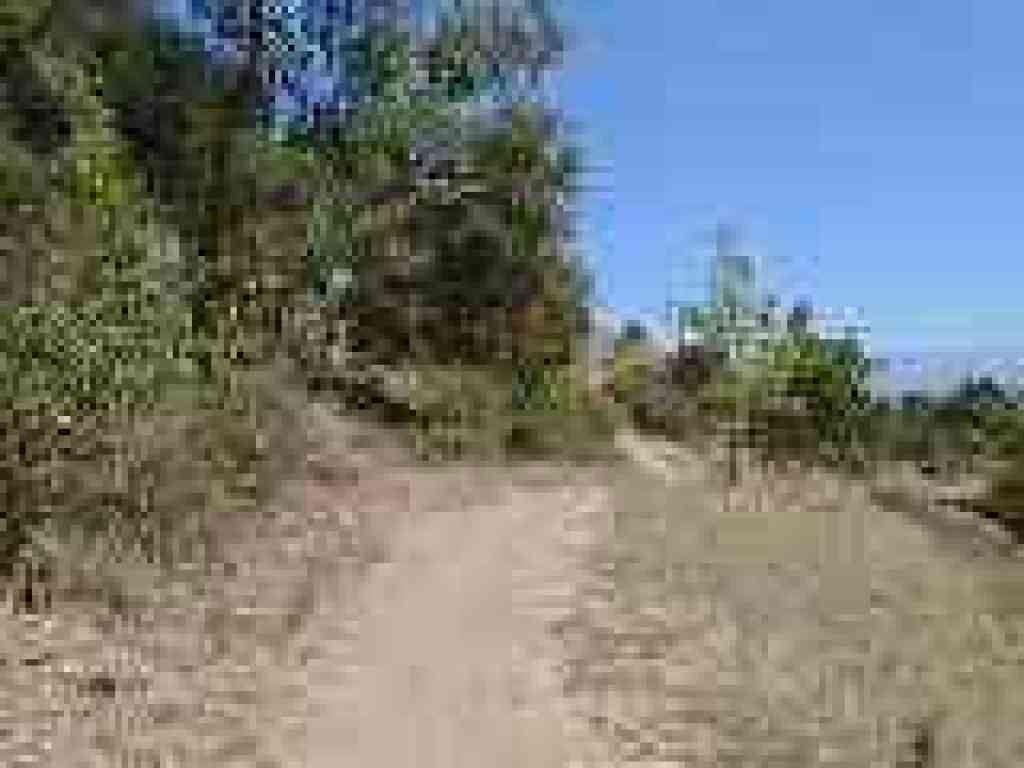 Back uphill