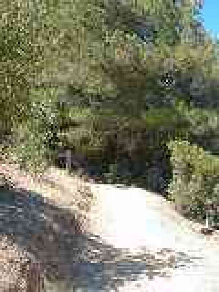 Trail curves