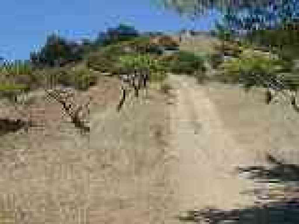 Uphill
