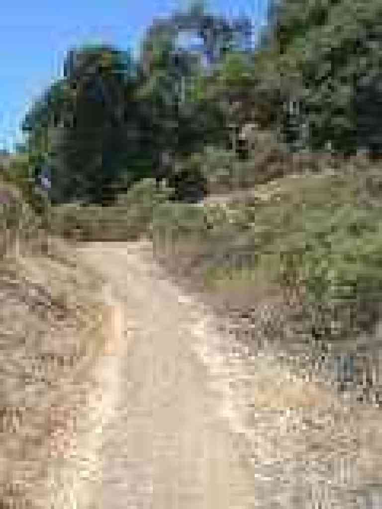 Seven Springs Trail