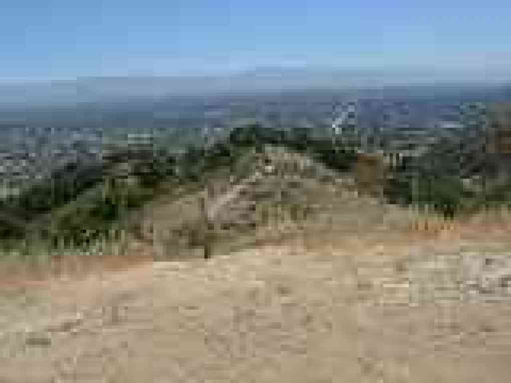 View east