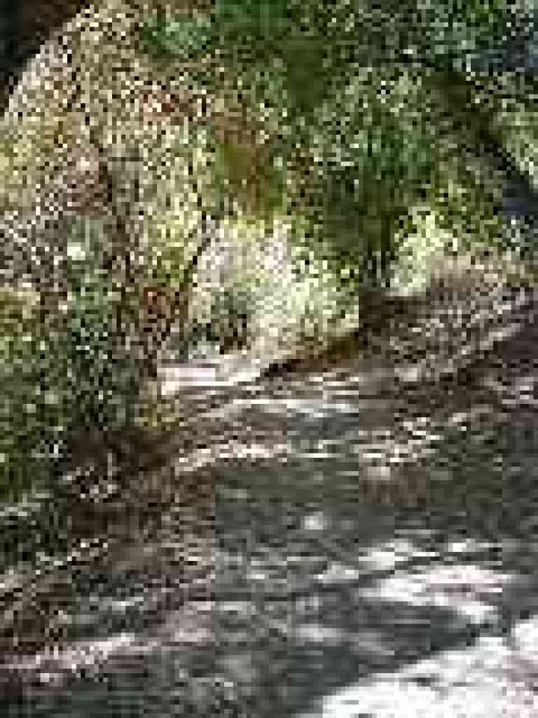 Creekside Trail