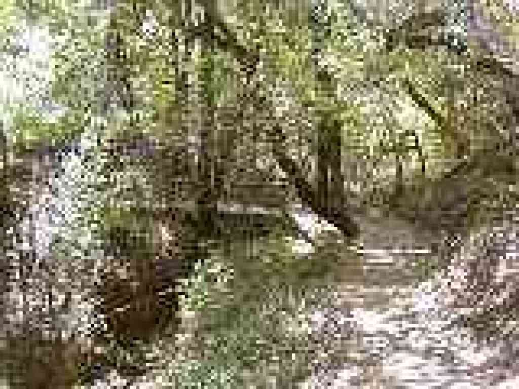 Bridge crosses creek