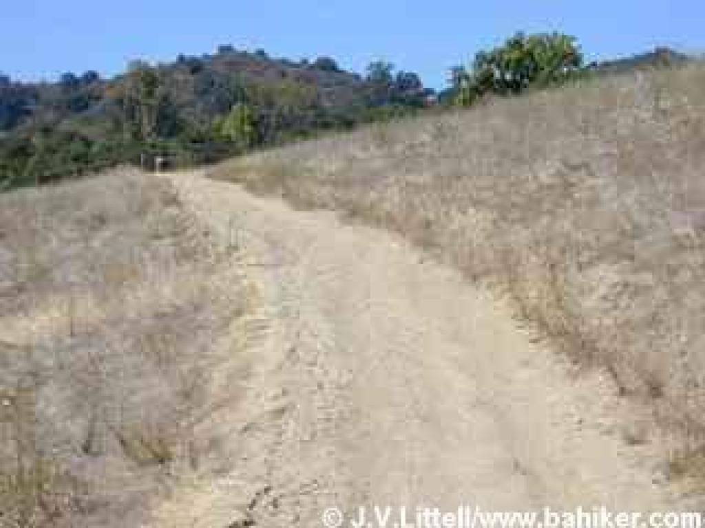 Cora Older Trail