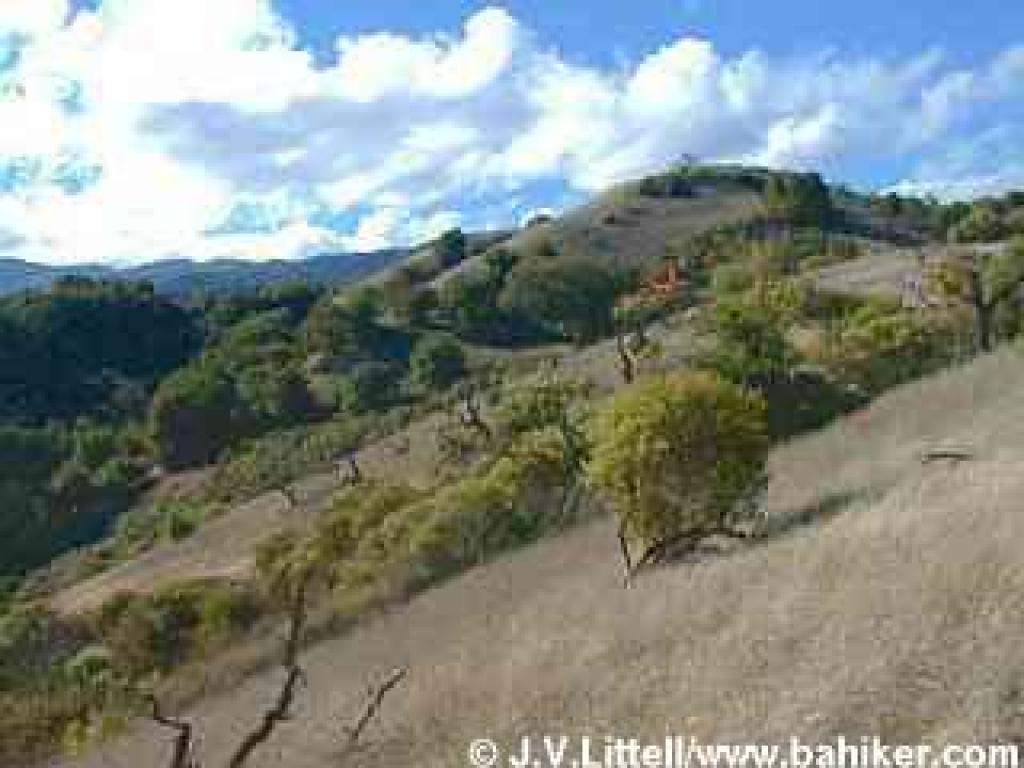 View from Seven Springs Trail