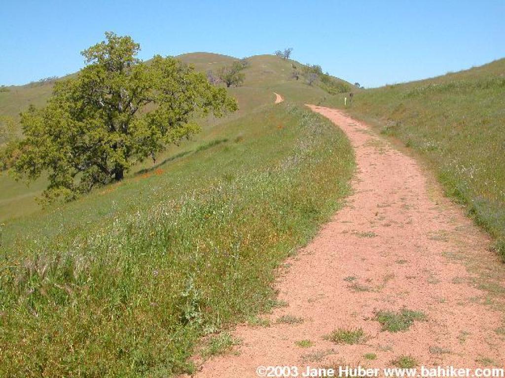 Bay Area Hiker Joseph D. Grant County Park