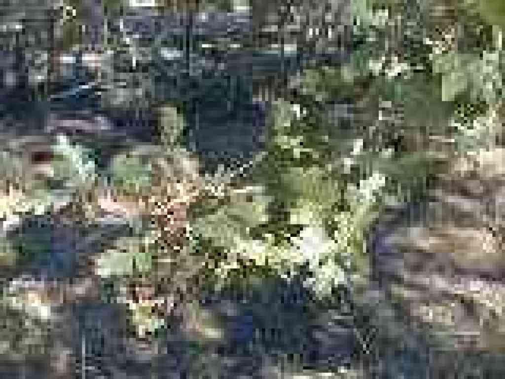 Oak