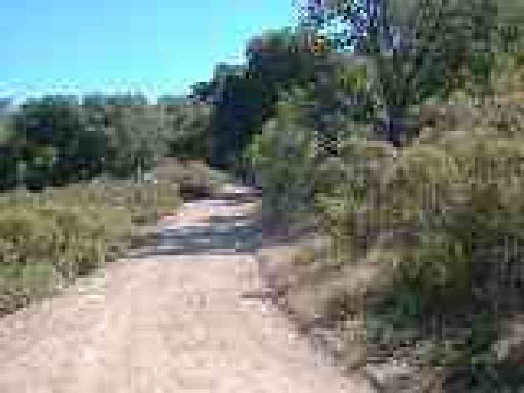Halls Valley Trail