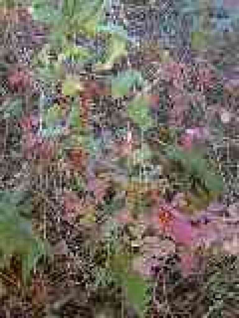 Honeysuckle