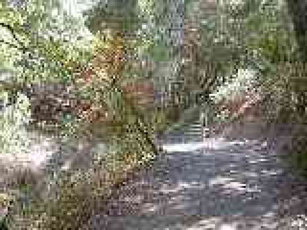 About to cross creek