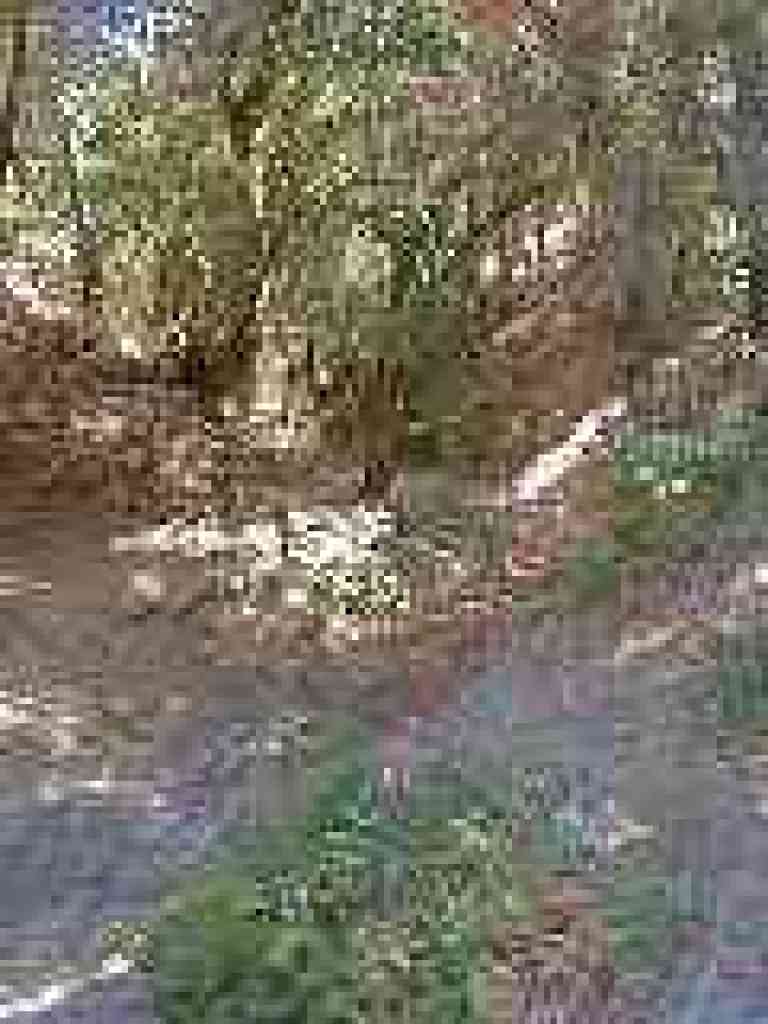 Seasonal creekbed