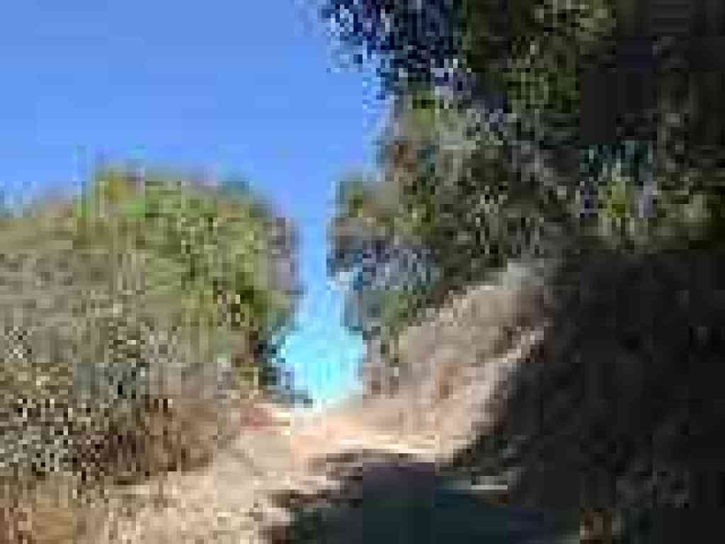 Little bit of chaparral