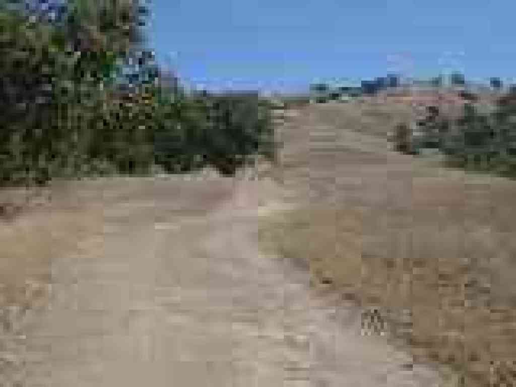 Halls Valley Trail