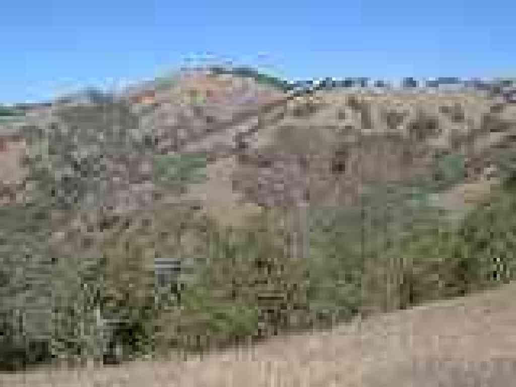 North