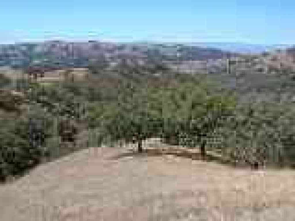 View back downhill