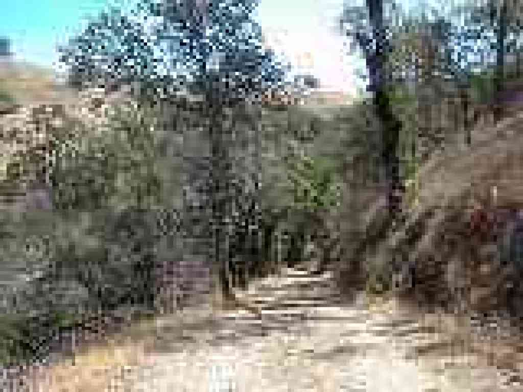 Downhill stretch