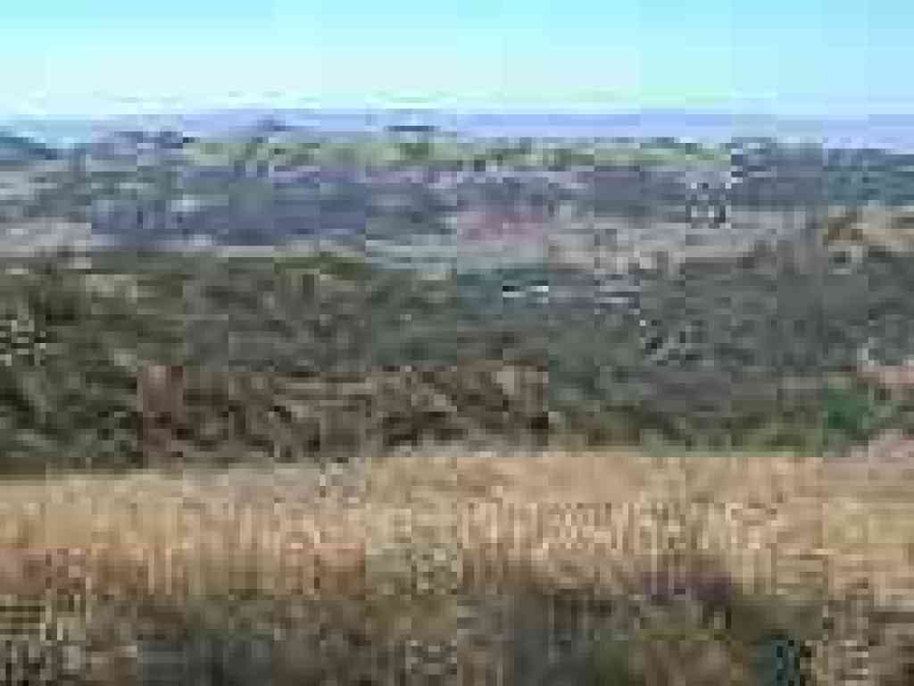 View to Grant Lake
