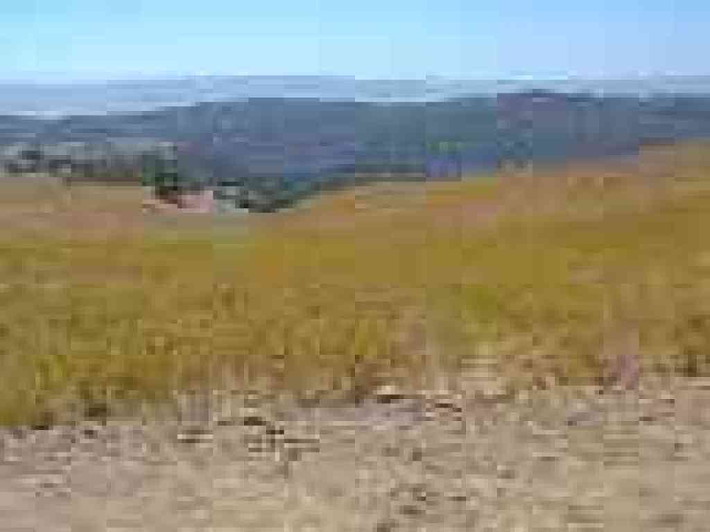 Windmill downslope