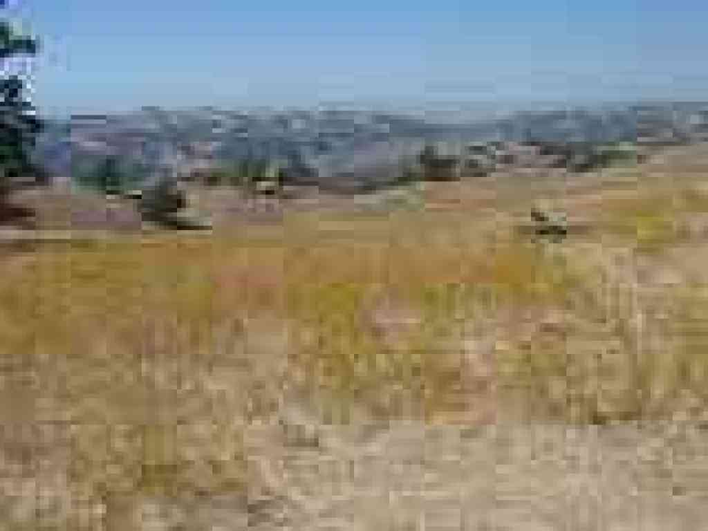 Last view from ridge