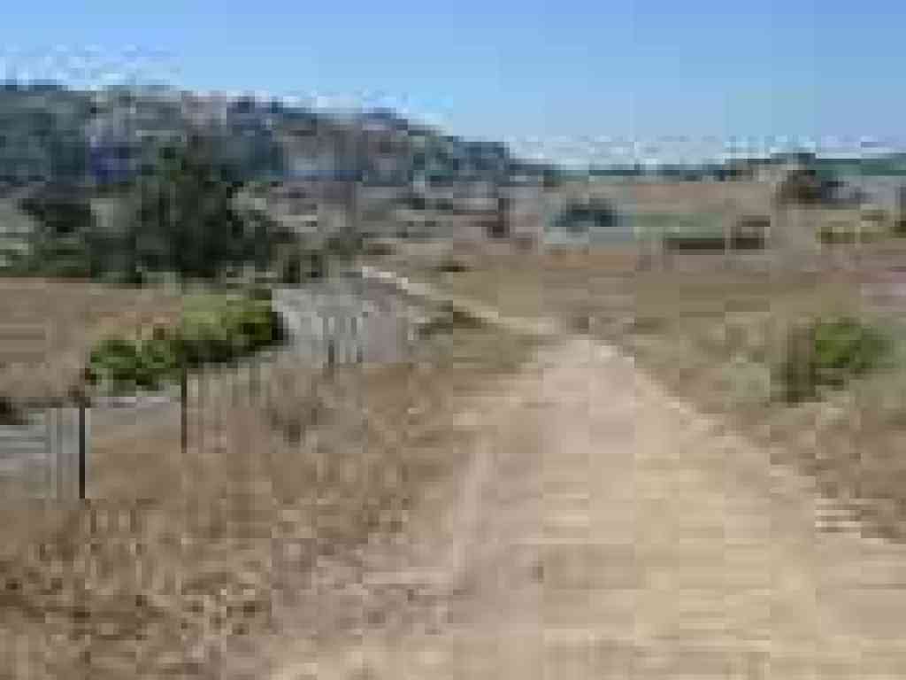 Trail dips and climbs one more time