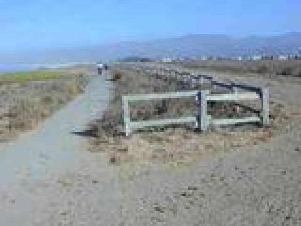 Paths