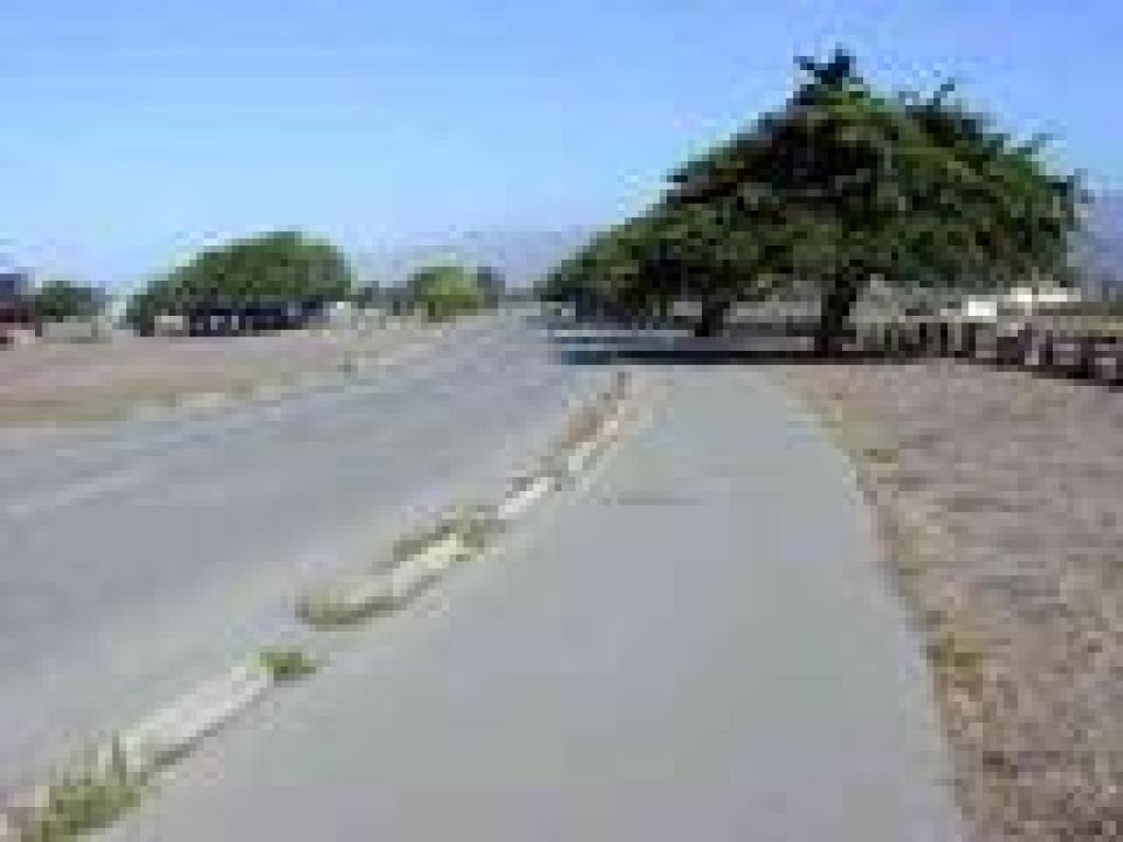 Along the campground road