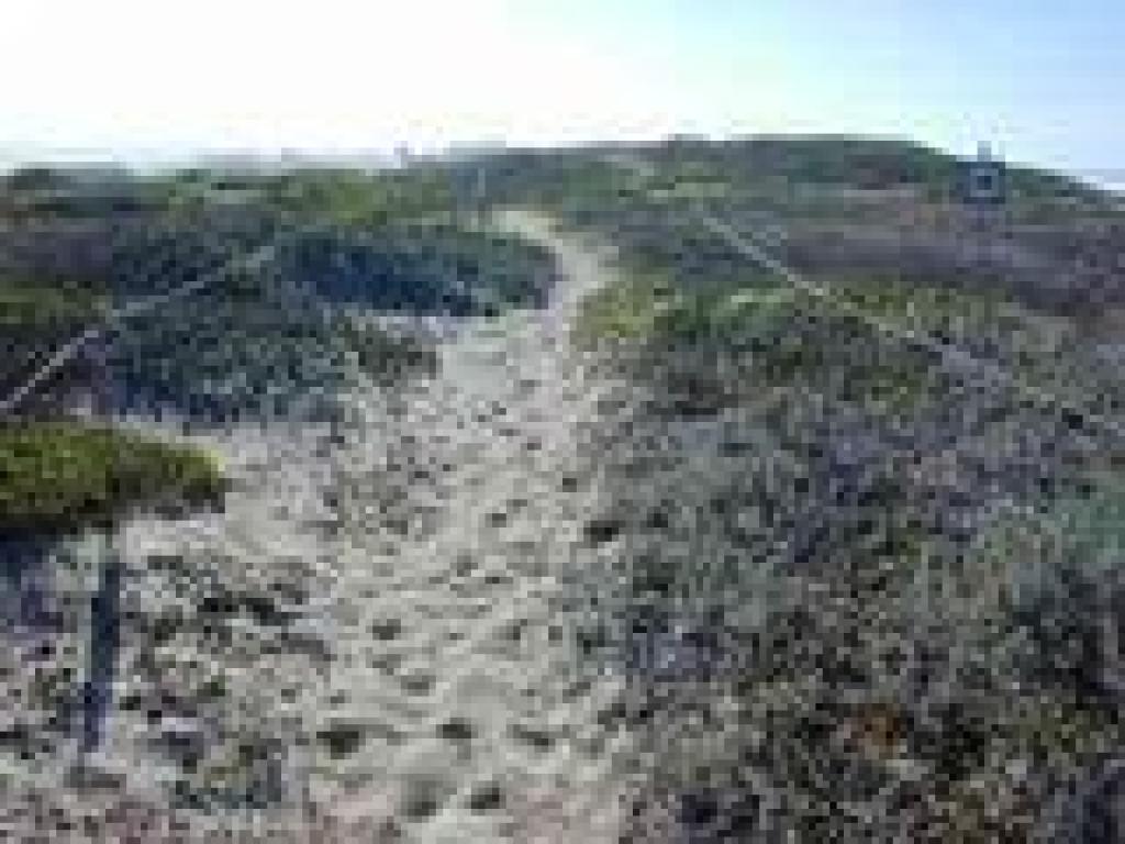 Trail through dunes