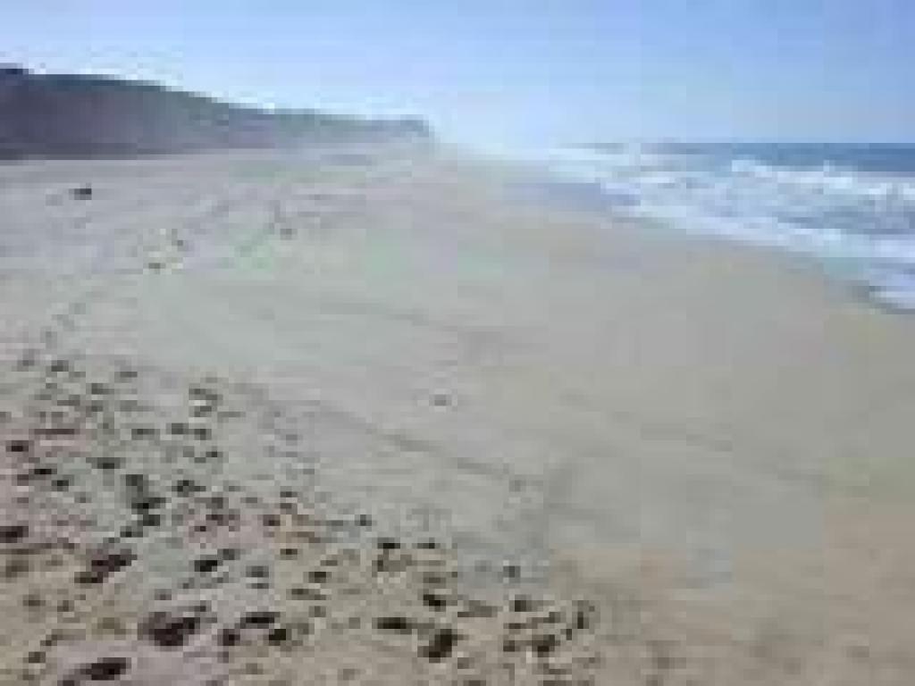 Strolling along the beach