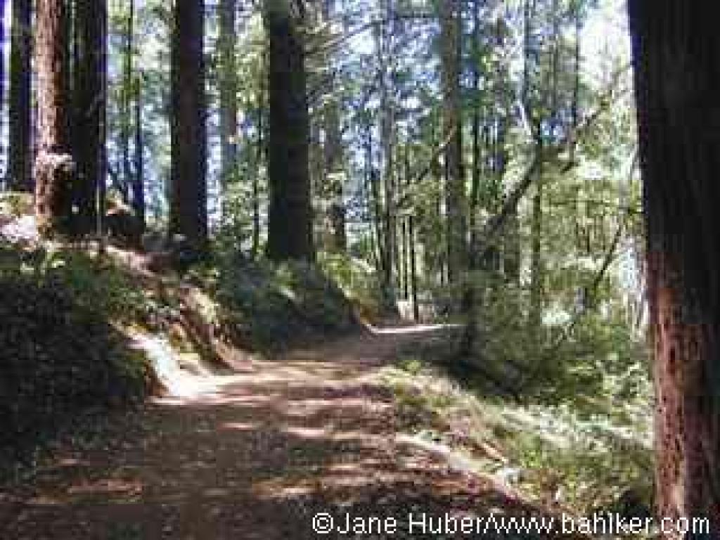 Ridge Fire Road