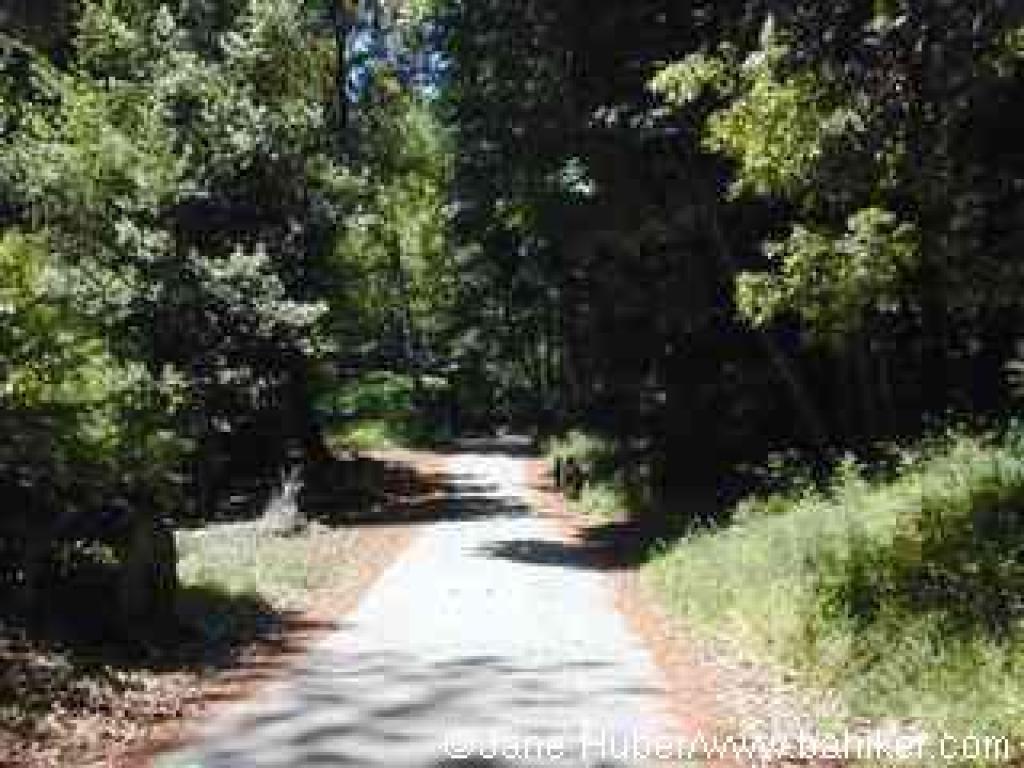 Pipeline Road