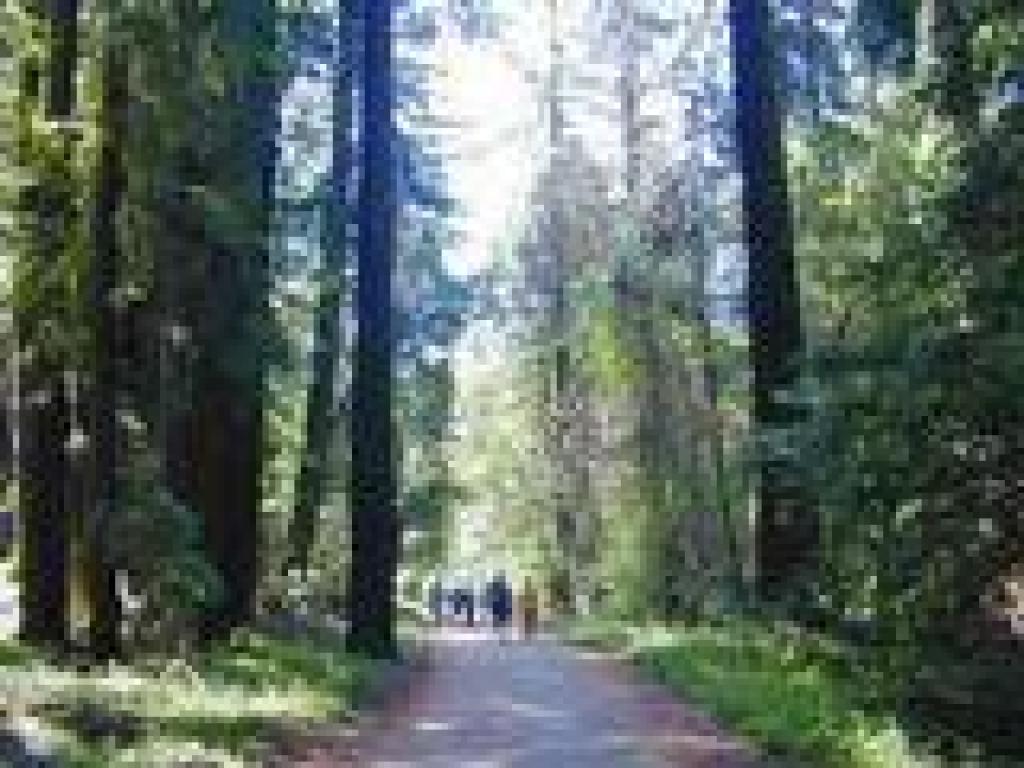 Pipeline Road