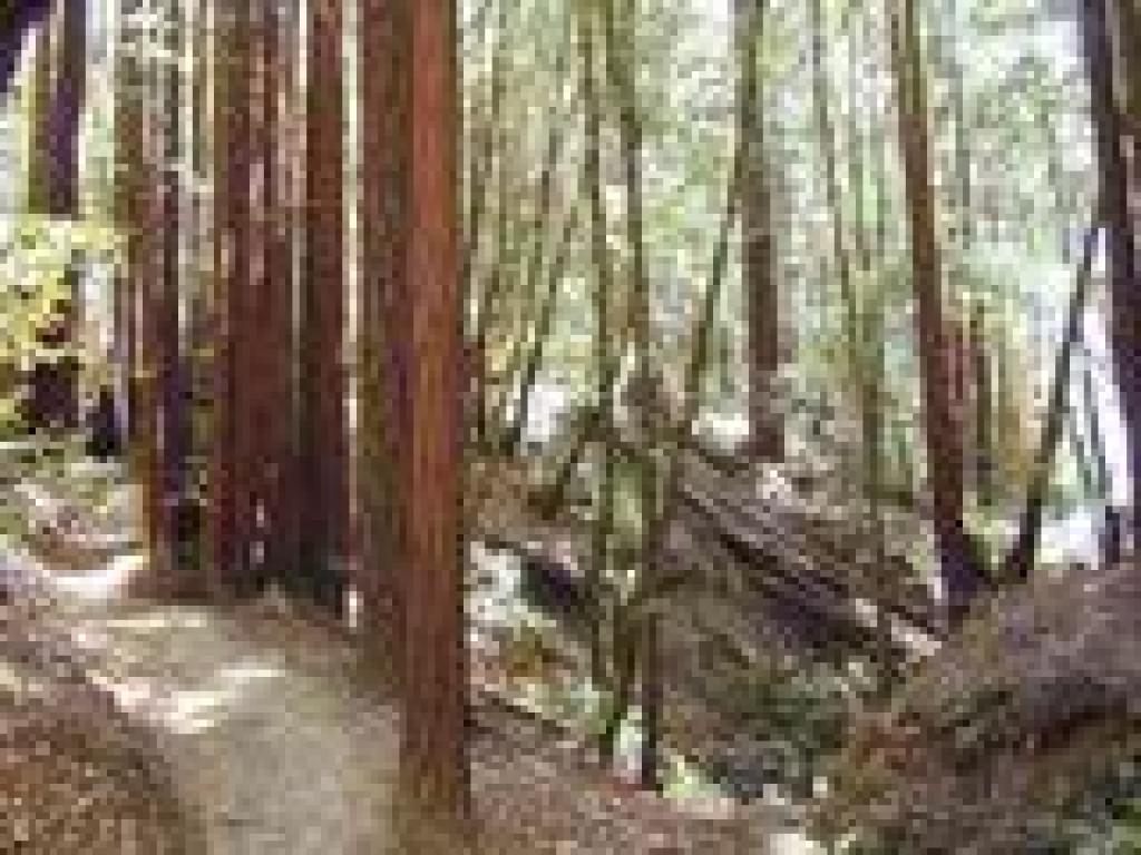 Eagle Creek Trail