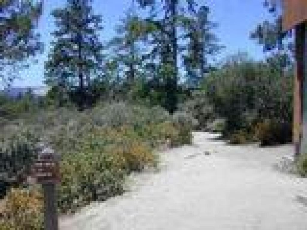 Ridge Fire Road