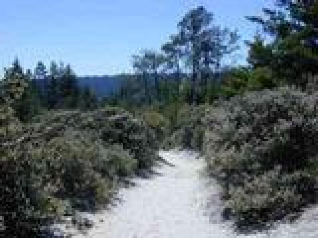 Ridge Fire Road