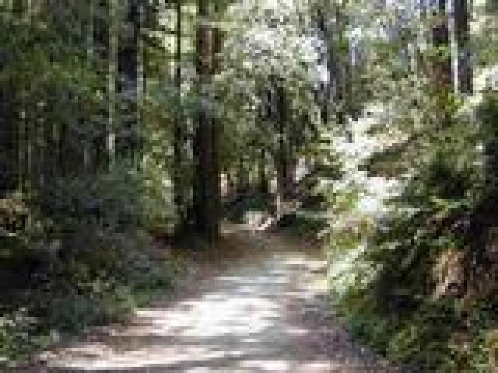 Pipeline Road