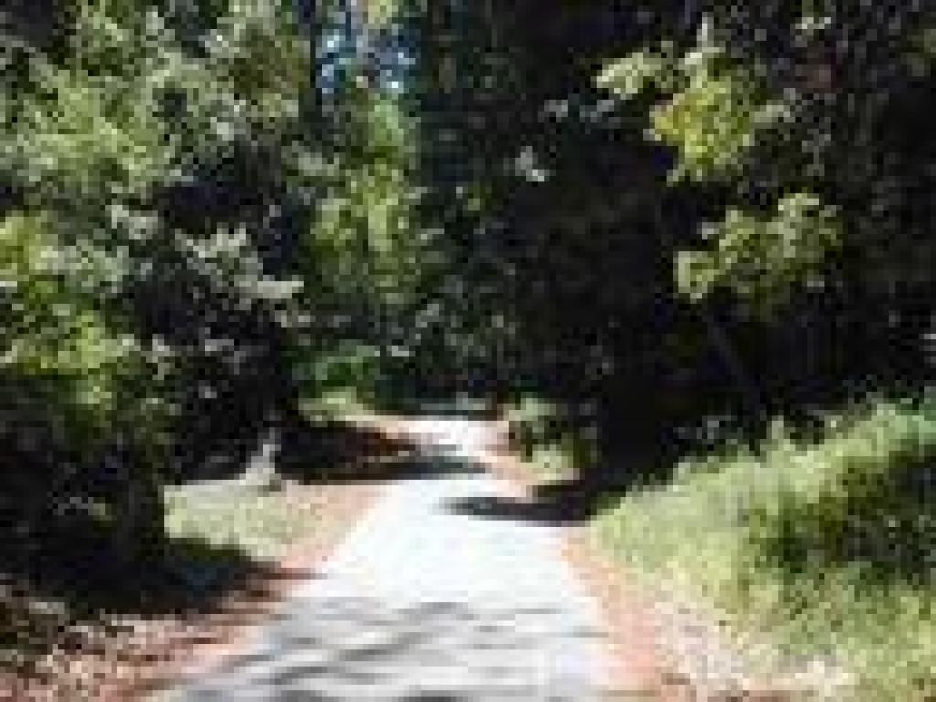 Pipeline Trail