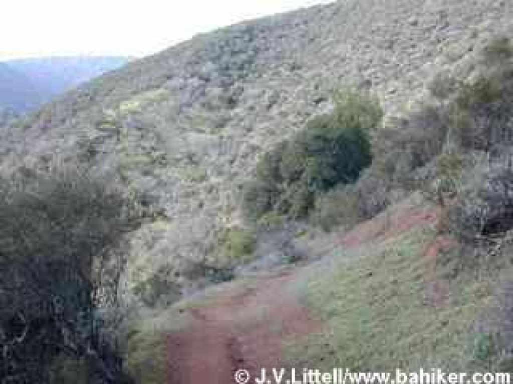 Grapevine Trail